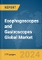 Esophagoscopes and Gastroscopes Global Market Report 2024 - Product Image