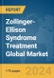 Zollinger-Ellison Syndrome Treatment Global Market Report 2024 - Product Thumbnail Image