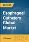 Esophageal Catheters Global Market Report 2024 - Product Thumbnail Image