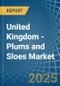 United Kingdom - Plums and Sloes - Market Analysis, Forecast, Size, Trends and Insights - Product Thumbnail Image