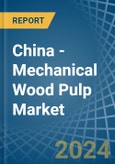 China - Mechanical Wood Pulp - Market Analysis, Forecast, Size, Trends and Insights- Product Image