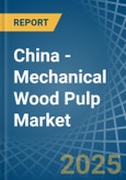 China - Mechanical Wood Pulp - Market Analysis, Forecast, Size, Trends and Insights- Product Image