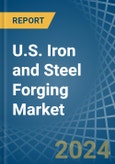 U.S. Iron and Steel Forging Market. Analysis and Forecast to 2030- Product Image