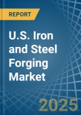 U.S. Iron and Steel Forging Market. Analysis and Forecast to 2030- Product Image