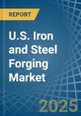 U.S. Iron and Steel Forging Market. Analysis and Forecast to 2030- Product Image