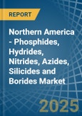 Northern America - Phosphides, Hydrides, Nitrides, Azides, Silicides and Borides - Market Analysis, Forecast, Size, Trends and Insights- Product Image