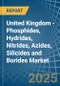 United Kingdom - Phosphides, Hydrides, Nitrides, Azides, Silicides and Borides - Market Analysis, Forecast, Size, Trends and Insights - Product Thumbnail Image