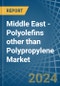 Middle East - Polyolefins other than Polypropylene - Market Analysis, Forecast, Size, Trends and Insights - Product Image