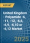 United Kingdom - Polyamide -6, -11, -12, -6,6, -6,9, -6,10 or -6,12 - Market Analysis, Forecast, Size, Trends and Insights - Product Thumbnail Image