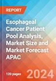 Esophageal Cancer Patient Pool Analysis, Market Size and Market Forecast APAC - 2034- Product Image
