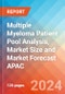 Multiple Myeloma Patient Pool Analysis, Market Size and Market Forecast APAC - 2034 - Product Thumbnail Image