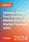Epilepsy Patient Pool Analysis, Market Size and Market Forecast APAC - 2034 - Product Thumbnail Image