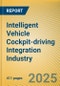 Intelligent Vehicle Cockpit-driving Integration (Cockpit-driving-parking) Industry Report, 2024 - Product Thumbnail Image