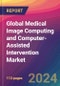 Global Medical Image Computing and Computer-Assisted Intervention Market Size, Market Share, Application Analysis, Regional Outlook, Growth Trends, Key Players, Competitive Strategies and Forecasts, 2023-2031 - Product Thumbnail Image