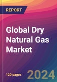 Global Dry Natural Gas Market Size, Market Share, Application Analysis, Regional Outlook, Growth Trends, Key Players, Competitive Strategies and Forecasts, 2023-2031- Product Image