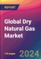 Global Dry Natural Gas Market Size, Market Share, Application Analysis, Regional Outlook, Growth Trends, Key Players, Competitive Strategies and Forecasts, 2023-2031 - Product Thumbnail Image