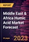 Middle East & Africa Humic Acid Market Forecast to 2030 - Regional Analysis - by Form (Dry, and Liquid) and Application (Agriculture, Horticulture, Ecological Bioremediation, Dietary Supplements, and Others) - Product Image
