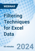 Filtering Techniques for Excel Data - Webinar (Recorded)- Product Image