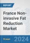 France Non-invasive Fat Reduction Market: Prospects, Trends Analysis, Market Size and Forecasts up to 2030 - Product Thumbnail Image