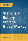 Stationary Battery Storage Global Market Report 2024- Product Image