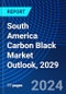 South America Carbon Black Market Outlook, 2029 - Product Thumbnail Image
