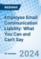 Employee Email Communication Liability: What You Can and Can't Say - Webinar (Recorded) - Product Image
