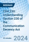 CDA 230: Understanding Section 230 of the Communication Decency Act - Webinar (Recorded) - Product Image