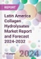 Latin America Collagen Hydrolysates Market Report and Forecast 2024-2032 - Product Thumbnail Image