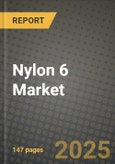 2024 Nylon 6 Market Outlook Report: Industry Size, Market Shares Data, Insights, Growth Trends, Opportunities, Competition 2023 to 2031- Product Image