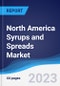 North America Syrups and Spreads Market Summary and Forecast - Product Image