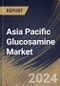 Asia Pacific Glucosamine Market Size, Share & Trends Analysis Report By Application, By Product (Glucosamine Sulfate, Glucosamine Hydrochloride, N-acetyl Glucosamine, and Others), By Country and Growth Forecast, 2023 - 2030 - Product Image