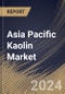 Asia Pacific Kaolin Market Size, Share & Trends Analysis Report By Application, By Process (Water-washed, Airfloat, Calcined, Delaminated, and Surface-modified & Unprocessed), By Country and Growth Forecast, 2023 - 2030 - Product Image