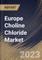Europe Choline Chloride Market Size, Share & Industry Trends Analysis Report By Form (Powder, and Liquid), By Application (Animal Feed, Human Nutrition, Oil & Gas, Pharmaceuticals, Personal Care), By Country and Growth Forecast, 2023 - 2030 - Product Image