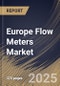 Europe Flow Meters Market Size, Share & Trends Analysis Report By Application, By Product Type, By Country and Growth Forecast, 2023 - 2030 - Product Thumbnail Image