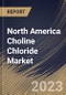 North America Choline Chloride Market Size, Share & Industry Trends Analysis Report By Form (Powder, and Liquid), By Application (Animal Feed, Human Nutrition, Oil & Gas, Pharmaceuticals, Personal Care), By Country and Growth Forecast, 2023 - 2030 - Product Thumbnail Image
