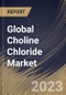 Global Choline Chloride Market Size, Share & Industry Trends Analysis Report By Form (Powder, and Liquid), By Application (Animal Feed, Human Nutrition, Oil & Gas, Pharmaceuticals, Personal Care), By Regional Outlook and Forecast, 2023 - 2030 - Product Image