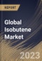 Global Isobutene Market Size, Share & Industry Trends Analysis Report By Product (Methyl tert-butyl ether (MTBE), and Ethyl tert-butyl ether (ETBE)), By Application, By Regional Outlook and Forecast, 2023 - 2030 - Product Thumbnail Image