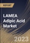 LAMEA Adipic Acid Market Size, Share & Industry Trends Analysis Report By Application (Nylon 6, 6 Fiber, Nylon 6, 6 Resin, Polyurethane, Adipate Esters, and Others), By End-Use, By Country and Growth Forecast, 2023 - 2030 - Product Thumbnail Image