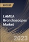 LAMEA Bronchoscopes Market Size, Share & Industry Trends Analysis Report By Type (Flexible (Video, Fiberoptic, Hybrid), and Rigid), By Usage, By End Use (Hospitals, and Outpatient Facilities), By Country and Growth Forecast, 2023 - 2030 - Product Image