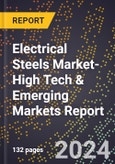 2024 Global Forecast for Electrical Steels Market (2025-2030 Outlook)-High Tech & Emerging Markets Report- Product Image