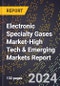 2024 Global Forecast for Electronic Specialty Gases Market (2025-2030 Outlook)-High Tech & Emerging Markets Report - Product Thumbnail Image