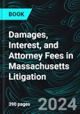 Damages, Interest, and Attorney Fees in Massachusetts Litigation- Product Image