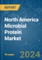 North America Microbial Protein - Market Share Analysis, Industry Trends & Statistics, Growth Forecasts 2019 - 2029 - Product Thumbnail Image