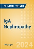 IgA Nephropathy (Berger's Disease) - Global Clinical Trials Review, 2024- Product Image