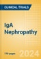 IgA Nephropathy (Berger's Disease) - Global Clinical Trials Review, 2024 - Product Image