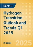 Hydrogen Transition Outlook and Trends Q1 2025- Product Image