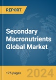 Secondary Macronutrients Global Market Report 2024- Product Image