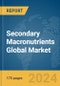 Secondary Macronutrients Global Market Report 2024 - Product Thumbnail Image