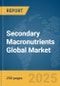 Secondary Macronutrients Global Market Report 2025 - Product Thumbnail Image