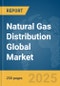 Natural Gas Distribution Global Market Report 2025 - Product Thumbnail Image